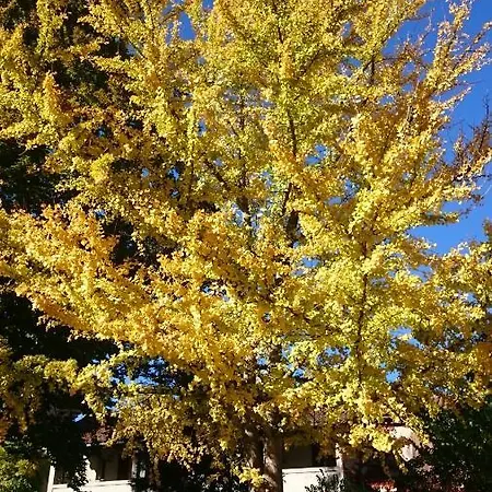 Chateau De 4* Creissels