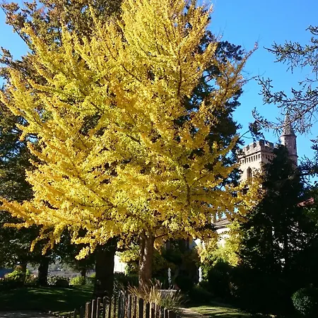 Chateau De 4* Creissels